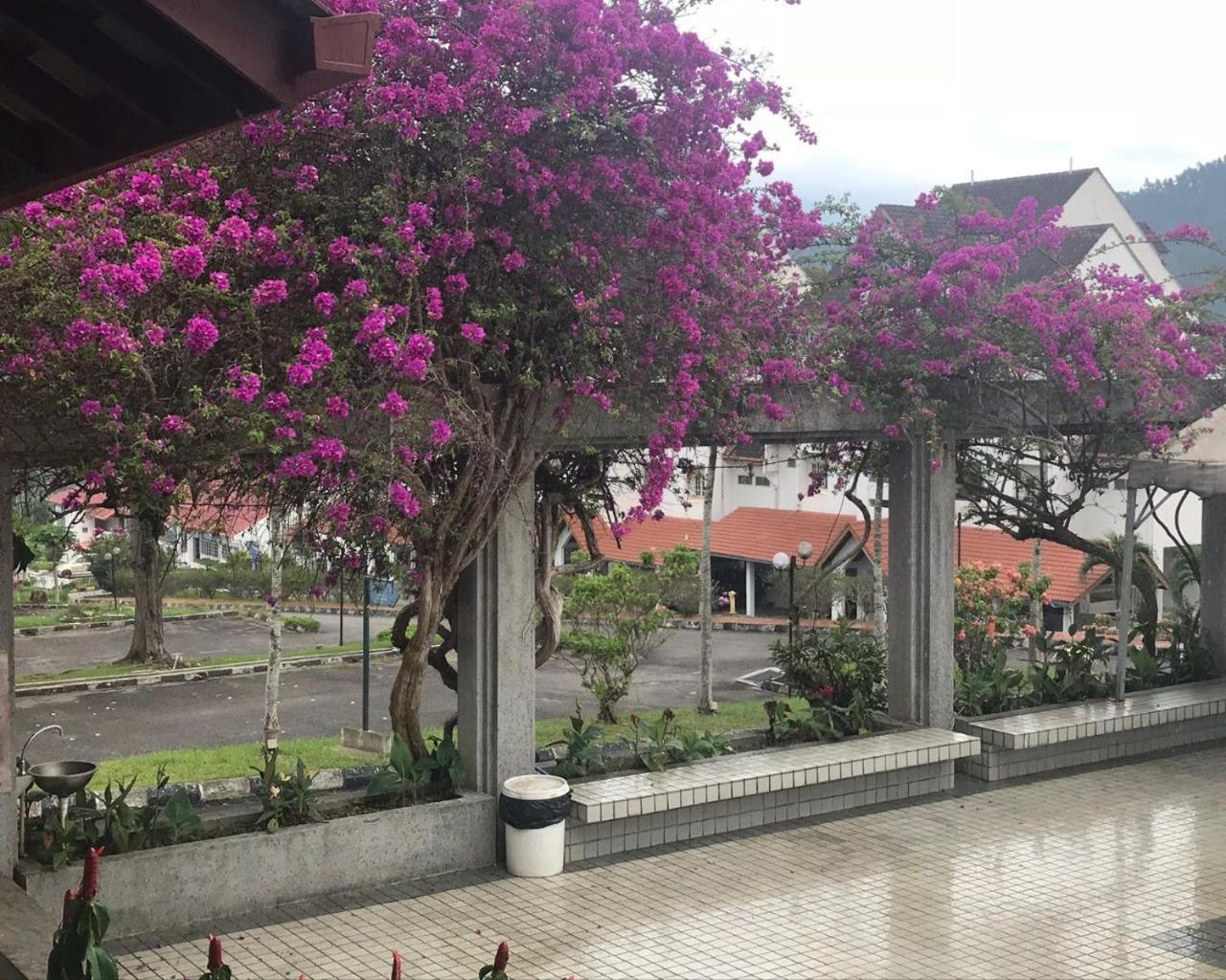 Thatniceplace, Selesa Hillhomes, Bukit Tinggi, Janda Baik, Genting *
